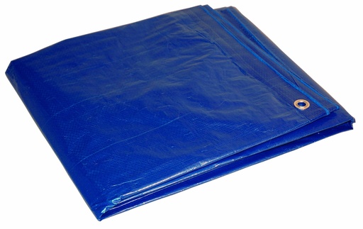 Tarp