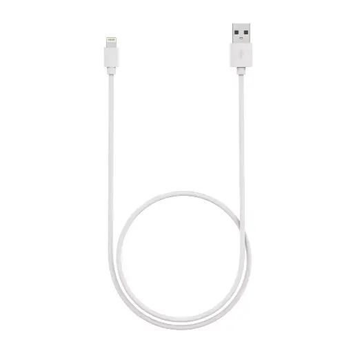iPhone Lightning Cable